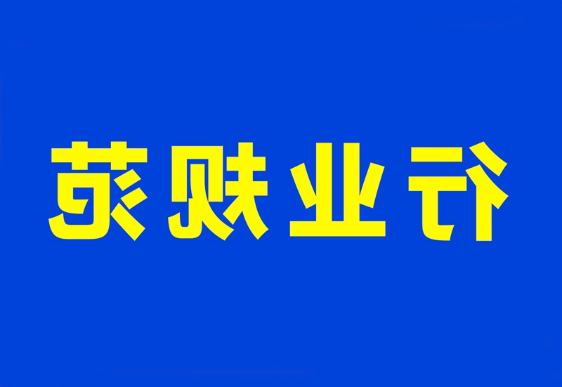 上海市应急管理局印发关于进一步落实企业安全生产主体责任意见的通知 沪应急行规〔2020〕2 号 