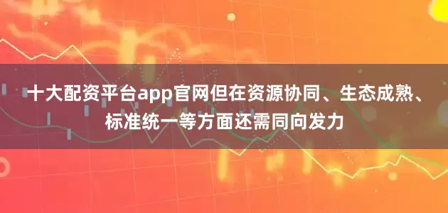 十大配资平台app官网但在资源协同、生态成熟、标准统一等方面还需同向发力