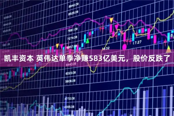 凯丰资本 英伟达单季净赚583亿美元，股价反跌了