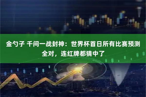 金勺子 千问一战封神：世界杯首日所有比赛预测全对，连红牌都猜中了