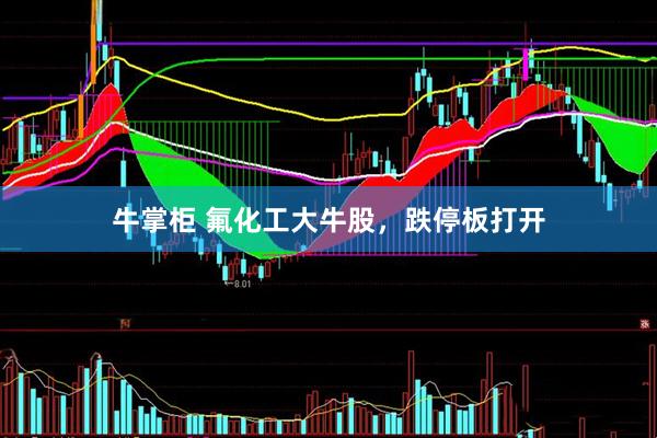 牛掌柜 氟化工大牛股，跌停板打开