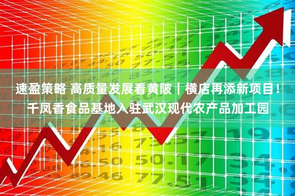 速盈策略 高质量发展看黄陂｜横店再添新项目！千凤香食品基地入驻武汉现代农产品加工园
